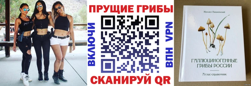 Галлюциногенные грибы мицелий  Тогучин 