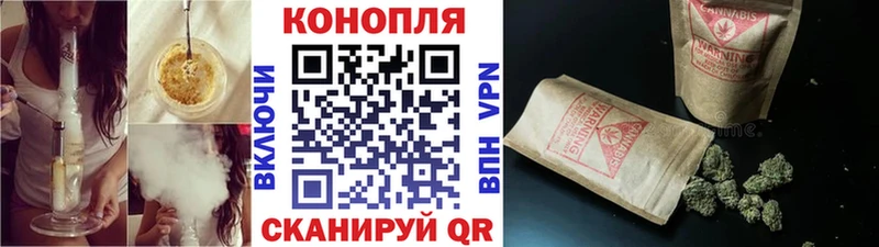 магазин продажи   ссылка на мегу   Бошки Шишки AK-47  Тогучин 